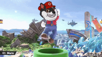 Tdp Mario Doge GIF by The Doge Pound