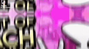 Best Of Zach GIF