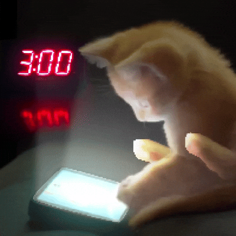Sleepy Cat GIF