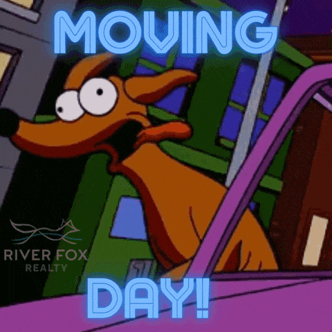 Happy Moving Day GIFs - Get the best GIF on GIPHY