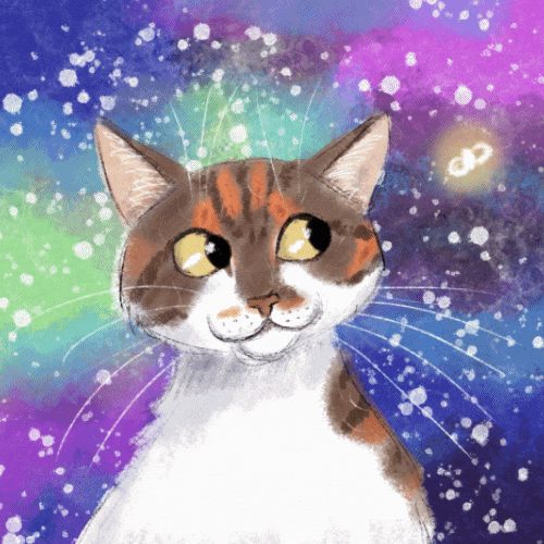 Cute Cat GIF