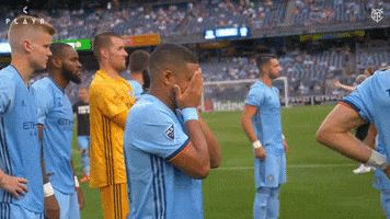 New York City Mls GIF by NYCFC