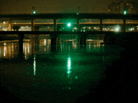 unmusicau-howdoyoufeel-catandcalmell-hdyf-kxqEInNHoQMTpsaq4m