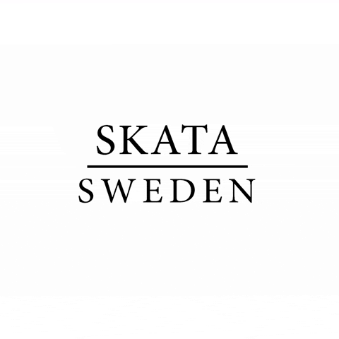 SKATASWEDEN wow cool fans intro GIF