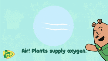 Plants Air GIF