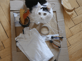Animated GIF