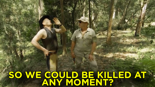 Image result for australia gif