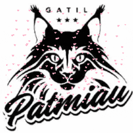GatilPatmiau GIF