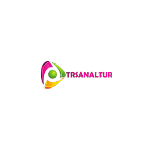 trsanaltur Sticker