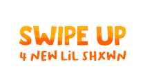 Lil Shxwn Sticker