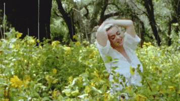 Daisies GIF by Katy Perry