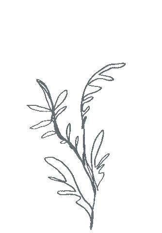 Flower Sticker
