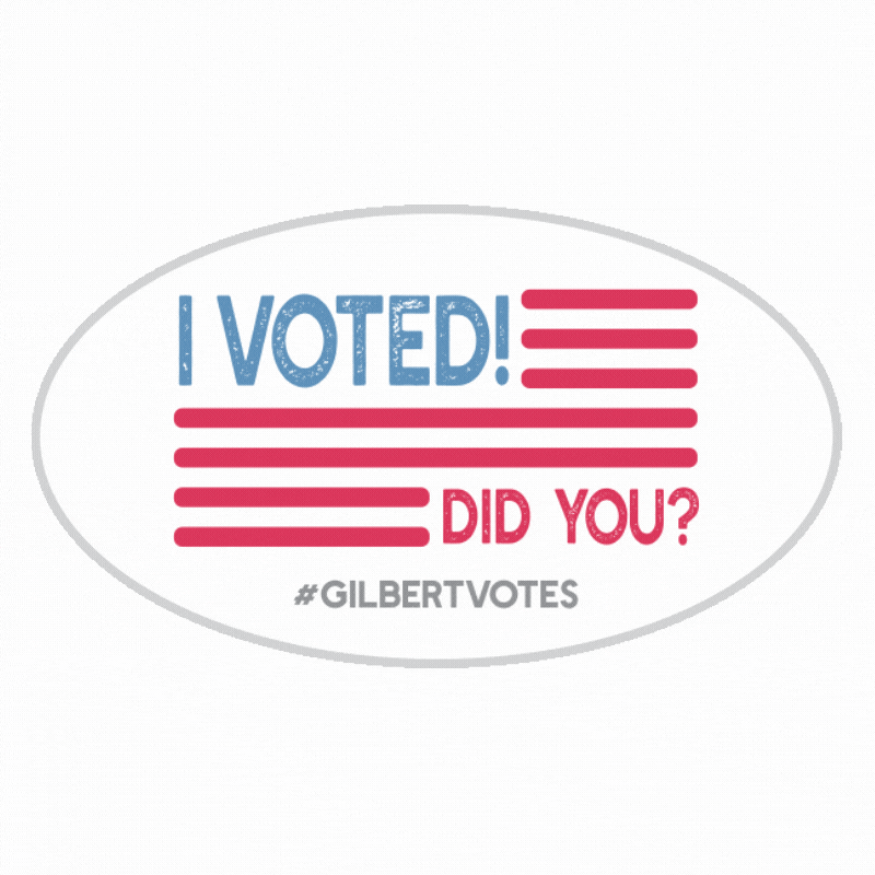 Election 2020 GIF by Gilbert, Arizona