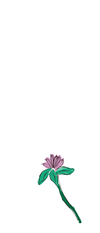 Yerba Verdeflor Sticker