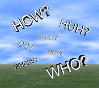 Who What When How GIFs - Find & Share on GIPHY