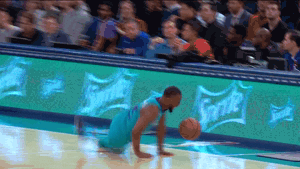 charlotte hornets smiling GIF by NBA