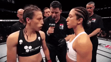 200.gif?cid=fc005b08ac99815553ecf97eb1321dd39528523d059e7840&rid=200.gif&ct=g