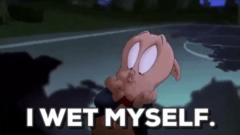 Giphy - I Wet Myself Porky Pig GIF by Space Jam