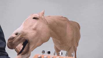 music video horse GIF by Domino Recording Co.