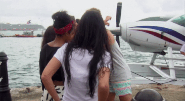 mrosewillettgmailcom  GIF