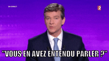 arnaud montebourg citation GIF by franceinfo