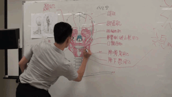 nfgraphics drawing anatomy GIF