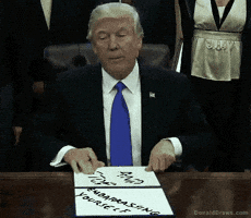 vacaoverpower  GIF