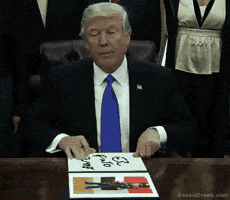 bronx  GIF