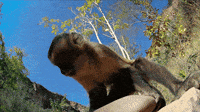 200w.gif
