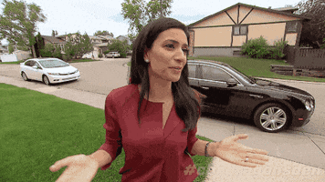 scared dragons den GIF by CBC