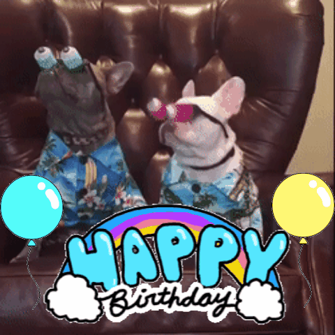 Birthday Card GIF - Find & Share on GIPHY
