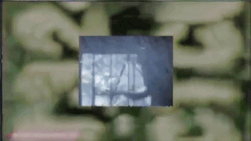 kevinholmes910gmailcom  GIF