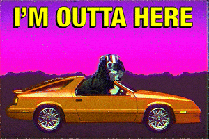 Video gif. Dog cruises in an orange convertible sports card while wearing big shiny sunglasses over his eyes. The dog looks around. Text, “I’m outta here.”