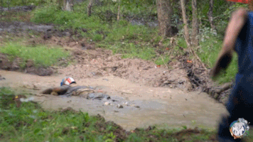 200.gif?cid=fc005b089778f94b339e8619f7045d506956ed2d0acc2a3f&rid=200.gif&ct=g