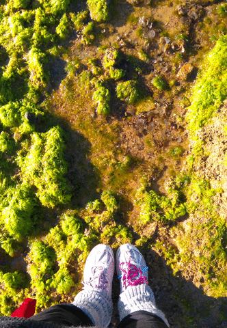 daliael-nabrawy  GIF