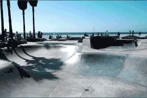 maxtor maxtor skate GIF