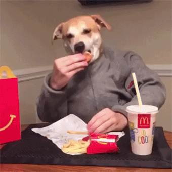 Dog man