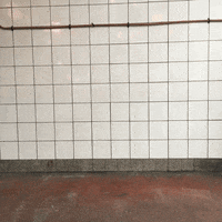 200.gif?cid=fc005b08a7699c57cfc4c3700bcbed18f4138a65d1698478&rid=200.gif&ct=g