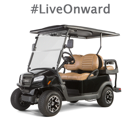 clubcar fun custom onward golf cart GIF