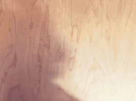 carstenchristian  GIF