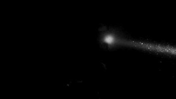 feminine  GIF