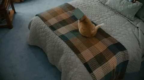 fail super bowl 51 GIF