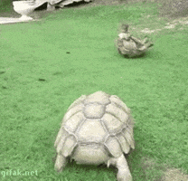 friendship help GIF by Demic