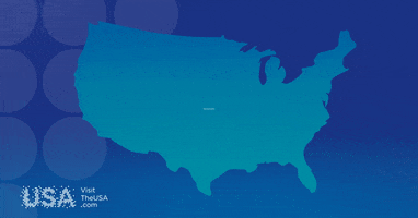 Copa America Football GIF by Visit The USA MX