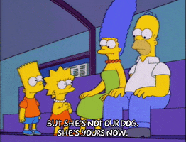 200.gif?cid=fc005b082c335be96b6cecbfd9c24cbfcc47a0d28faa09a0&rid=200.gif&ct=g