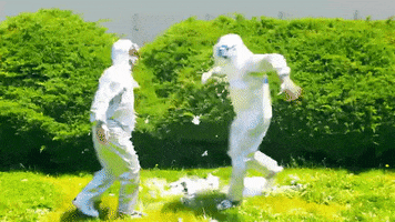 diarrhea planet chest bump GIF by Infinity Cat Recordings