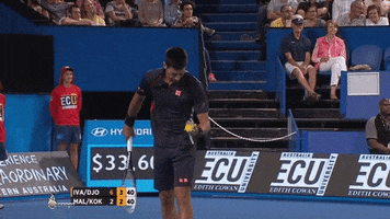 jerrykuonodjsego ha gotcha djokovic got you GIF