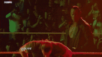 triple h wrestling GIF by WWE