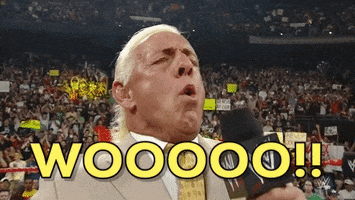 Ric Flair GIF by WWE - Find & Share on GIPHY