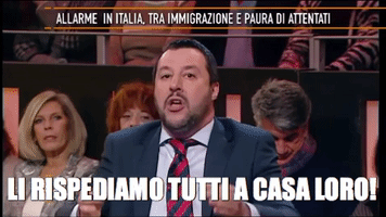 Salvini GIF